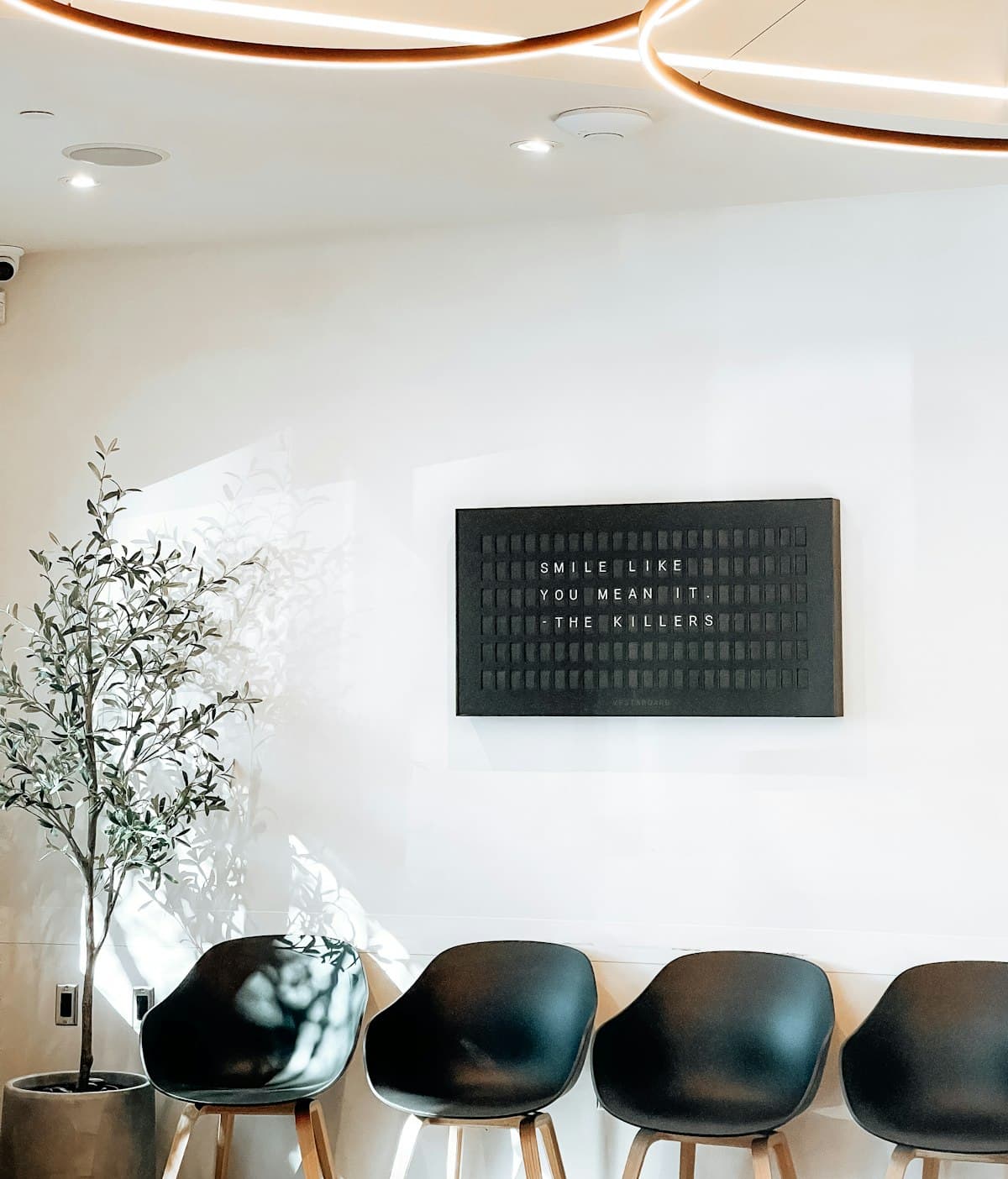 A minimal waiting area with black chairs, a potted olive tree and white walls
